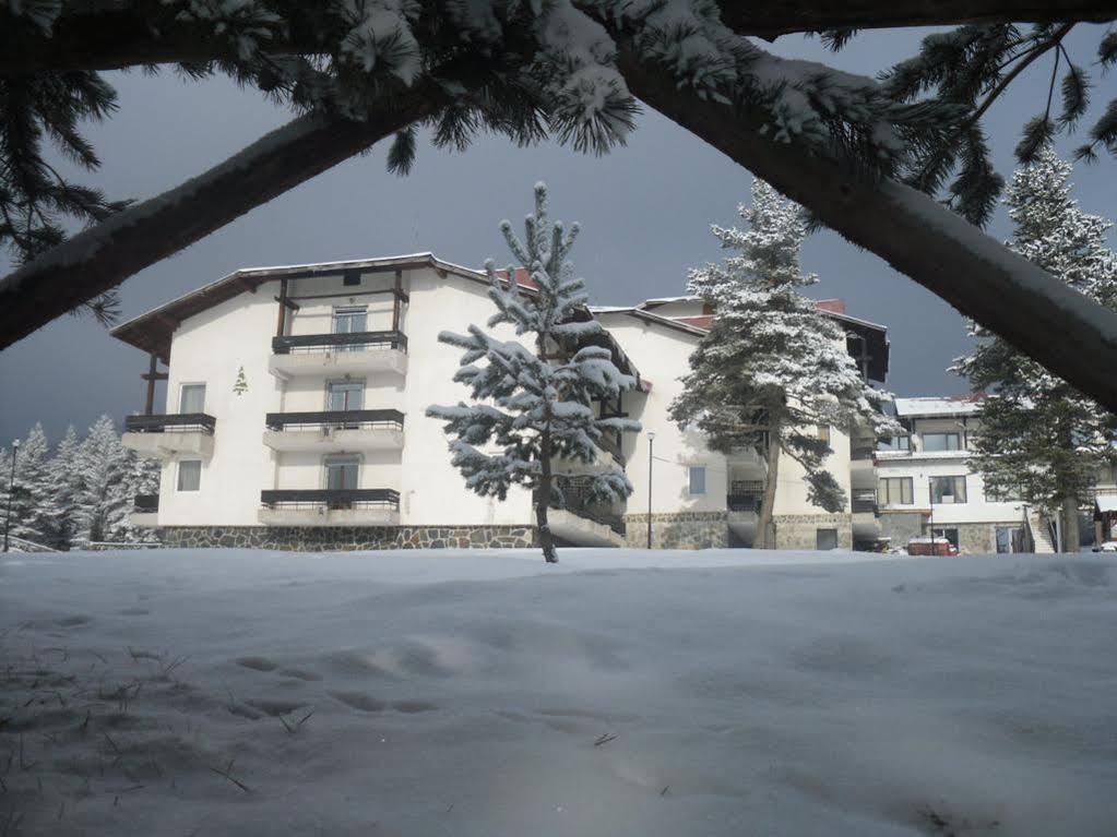 Bor Hotel Belitsa  Exteriér fotografie
