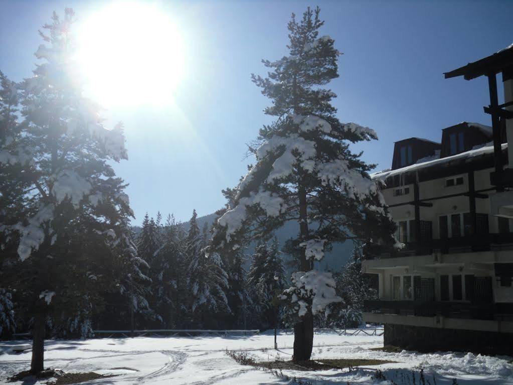 Bor Hotel Belitsa  Exteriér fotografie