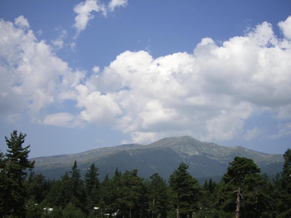 Bor Hotel Belitsa  Pokoj fotografie