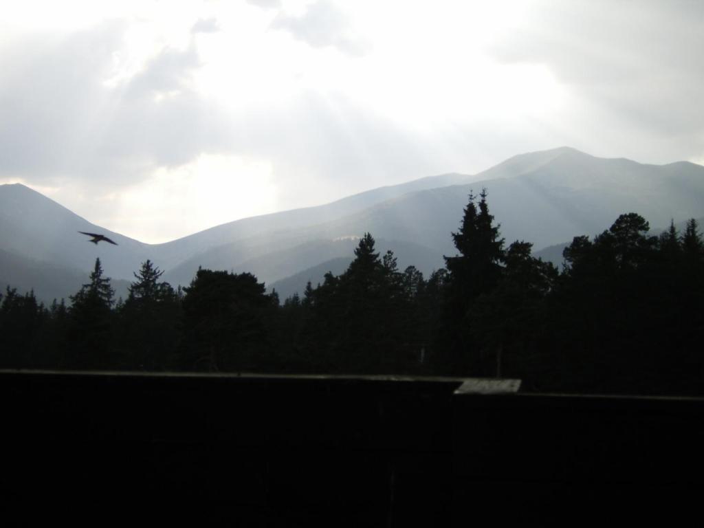 Bor Hotel Belitsa  Pokoj fotografie