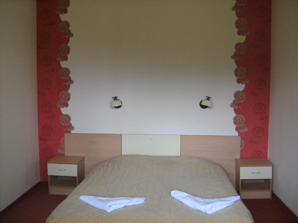 Bor Hotel Belitsa  Pokoj fotografie